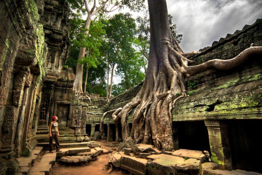 Angkor Tropical Resort Siem Reap Exterior photo